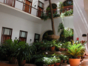Inside patio view