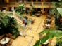 Colonial  building lobby View