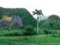 Mural de la Prehistoria panoramic view, Viñales