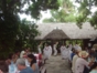 Shows of Cuban country music.
