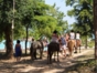 Horseback riding