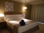 Junior Suite Room