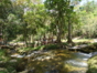 San Juan River Panoramic view