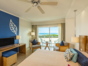 deluxe ocean view room
