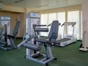 Gymnasium