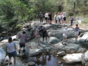 Trekking Tours