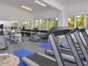 Gymnasium