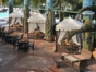 Pool Snack Bar Alameda