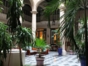Inside patio view