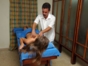 Massaje Services