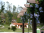 Panoramic villa view
