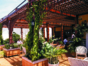Ernest Hemingway Terrace Bar