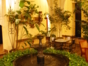 Hotel details