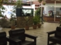 Lobby Bar TropiBar