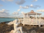 Weddings Gazebo