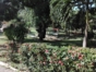 La Caridad Camping, Candelaria, Artemisa, Cuba