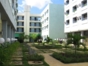 Panoramic inside yard view