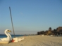 Panoramic beach view