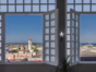 Roof Garden