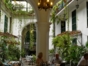 Inside patio view