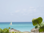 Panoramic beach view