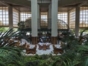 Lobby Bar Orquidea