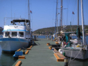 Marina View
