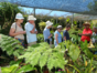 Ave del Paraíso botanical garden, Santiago de Cuba