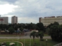 view from the hotel