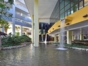 Interior View Melia Habana