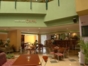 Lobby Snack Bar Coral