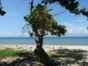 Beach view