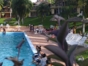 Swimming pool-garden view
