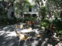 Inside patio view