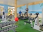 Gymnasium