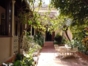 Inside patio-garden view