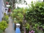 Inside patio view