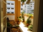 Terrace view