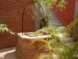 Patio details