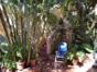 Inside patio view