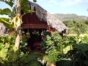 Bar-restaurant view