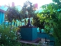 Inside patio view