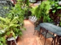 Inside patio view
