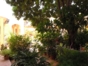 Inside patio view