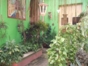 Indoor patio-garden view