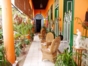 House terrace view