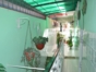 Inside patio view