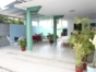 Inside patio view
