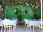 Inside patio view