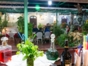 A la carte international restaurant La Auténtica Pergola